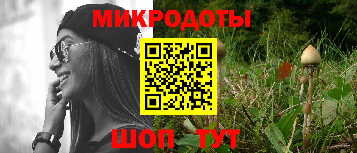 Будённовск  даркнет сайт  Вход с VPN  Псилоцибиновые грибы ЛСД 