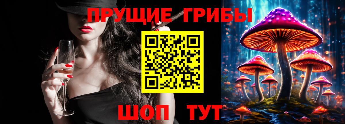 Галлюциногенные грибы Magic Shrooms Будённовск